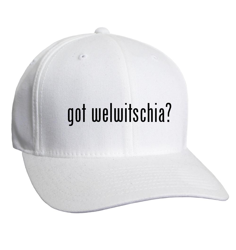 Bild 6 von 10